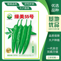 【绿美55号】薄皮羊角椒皱皮辣椒种子基地优选越夏延秋种植