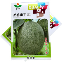 奶香蜜王哈密瓜种子网纹瓜种籽果肉橘红肉厚口感脆基地用