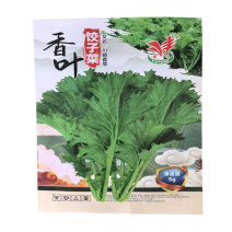 香叶饺子菜种子脆嫩清香高产川崎香菜