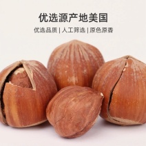 新鲜美国大榛子坚果零食熟榛果