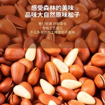 大颗粒东北松子电商专用手剥开口坚果干果正品批发