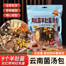 云南七彩菌汤包黑松露羊肚菌汤包红菇菌汤包山珍菌汤包