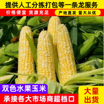 双色水果玉米品质保证服务周到产地直发价格美丽