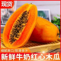 【海量货源】红心木瓜全网低价长期供货批发一件代发团购