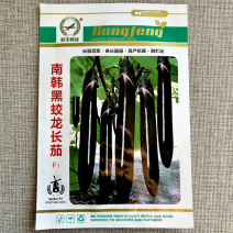 南韩黑蛟龙长茄种子条长早熟黑茄子种子高产蔬菜基地