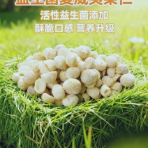 奶香味夏威夷果仁（益生菌）无壳奶油坚果干果休闲零食散装批
