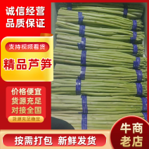 新鲜芦笋，粗1.0以上长28以上产地直发质量保证，欢迎来电