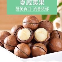 夏威夷果带壳奶油坚果干果休闲零食散装批发