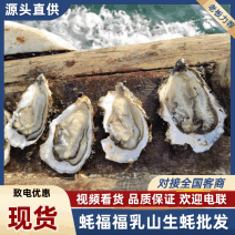 乳山特价流通货生蚝对接全国发货快速售后无忧进店来电