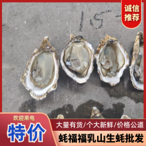 【特价天天有】小规格豆豆，1+1.5+质量保证发货全国