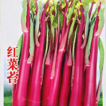 湖北武汉新鲜蔬菜正宗红菜苔菜芯