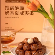 夏威夷果奶油香味电商好货装干果果仁孕妇休闲坚果零食