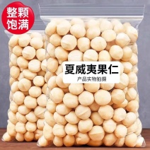 新货夏威夷坚果仁果仁无壳奶香味休闲零食批发