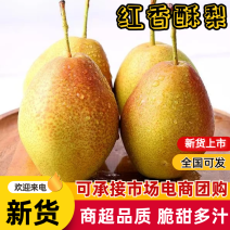 [牛]【一件代发】红香酥梨淘宝抖音小红书快团团私域电商一件代发