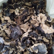 精品毛木耳黑木耳产地直发保质保量对接全国各地