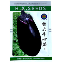 特大牛心茄子种子早熟紫把黑茄子黑罐茄籽高产易种植大面积