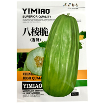八棱脆瓜种子香脆菜瓜烧瓜种子生吃无糖生吃腌菜凉拌露