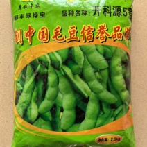 开科源5号毛豆种子高产基地毛豆种子