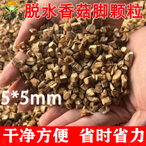 香菇脚颗粒双剪干净去头去尾散装商用干货清仓香菇丁颗粒馅料