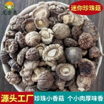 珍珠菇迷你小干香菇小个小香菇干货西峡香菇散装商用批发