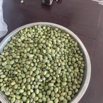 绿皮绿心黄豆大量现货供应（诚信经营）可视频看货价格可谈