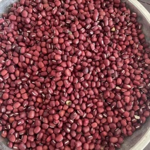 赤豆红豆基地直发（一手货源）量大从优，欢迎来电洽谈合作