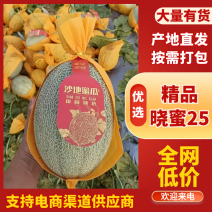[牛]精品哈密瓜/海南哈密瓜产地供应量大从优质量保证欢迎咨询