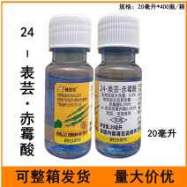 植轻松24-表芸赤霉酸水稻调节生长农药植物生长调节剂