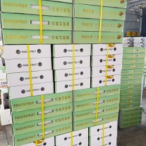 精品钦蜜9号百香果产地直采大量有货品种多样规格多样进店咨询
