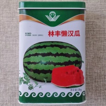 懒汉瓜西瓜种子深绿花皮红肉耐低温弱光优质高产懒汉西瓜种籽