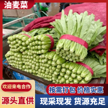 急售！云南油麦菜/基地直供【批发市场商超】可全国发货