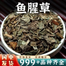 农家鱼腥草中药材新鲜鱼腥草干鱼腥草折耳根泡水喝干货批发