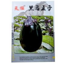 黑马王子茄子种子紫罐茄黑色黑亮中早熟抗病春秋栽培