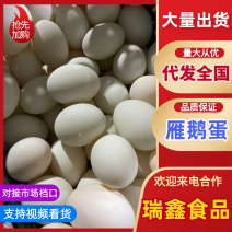 雁鹅蛋，双簧蛋，大雁蛋，鸭蛋，大桶蛋，一件代发！