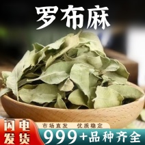 罗布麻中药材新疆罗布麻叶子干货非野生罗布麻片泡水批发