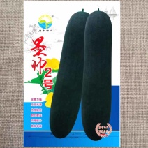 墨帅2号黑皮冬瓜种子长炮弹形深墨绿皮冬瓜种籽大田基地用