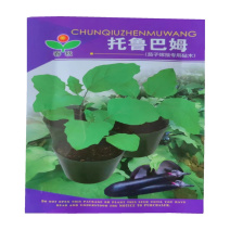 托鲁巴姆种子茄子砧木野茄子种子野生嫁接专用砧木种子