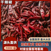 干辣椒河南新一代，小椒，天鹰椒，8号椒价格美丽包邮