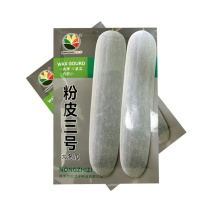 粉皮三号大冬瓜种子内腔小紧实中晚熟粉皮大冬瓜种子白皮冬瓜