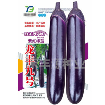 龙丰九号杂交一代紫红棒茄子种子早熟深紫色果型顺直