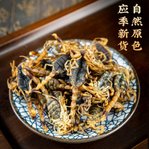 正品清水全蝎中药材正宗新货十足全干蝎子干整条无盐水洗全虫