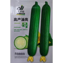 油亮二号丝瓜种子早熟杂交油皮丝瓜种籽鲜香味浓肉厚高产