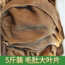 牛副产品/大叶精品毛肚/5斤一包/量大价优/一手货源
