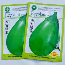 西安绿茄子种子菜农专用罐茄高产10g杂交抗病绿茄子