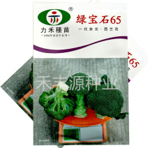 台湾力禾绿宝石60西兰花种子高产抗病绿花椰菜基地春秋