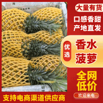海南菠萝/菠萝/香水菠萝/菠萝批发/菠萝价格/新鲜菠萝