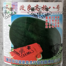 改良高抗八号西瓜种子墨绿皮中早熟高产大西瓜种子