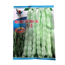 架芸豆种子皓航美如玉7号九粒白种子春秋高产白芸豆种子