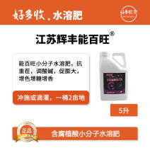 江苏辉丰能百旺含腐植酸小分子水溶肥5升