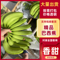 本公司常年大量供应进口香蕉，巴西蕉菲律宾，印尼，越南，南美